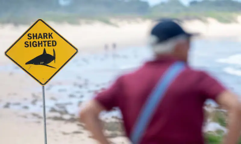 Australia shuts dozens of east coast beaches after shark attacks