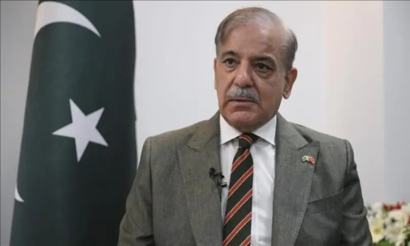 PM Shehbaz blames repatriation of militants from Afghanistan for surge in terrorism