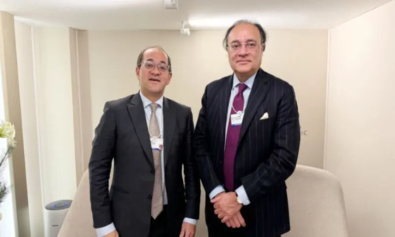 Pakistan, Egypt agree to deepen economic cooperation at Davos