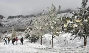 3,010 rescued as snow paralyses upper Khyber Pakhtunkhwa