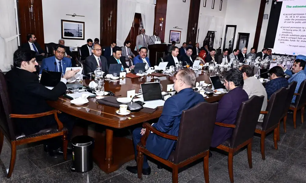 Sindh cabinet approves Rs19bn Karachi projects, relief for Gul Plaza victims