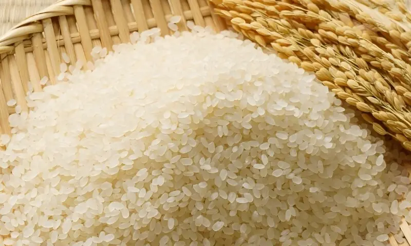 دنیا کا سب سے مہنگا چاول، ذائقہ کیسا ہے؟