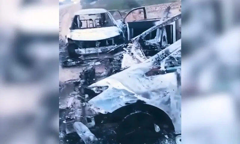 ڈیرہ اسماعیل خان میں دہشت گردوں کا کسٹمز آفس پر حملہ، دو اہلکار شہید