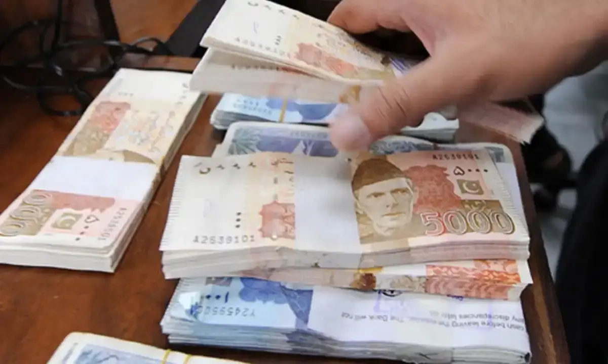 کوہستان مالیاتی اسکینڈل، گرفتار نجی کمپنی کا مالک 8 روزہ ریمانڈ پرنیب کے حوالے