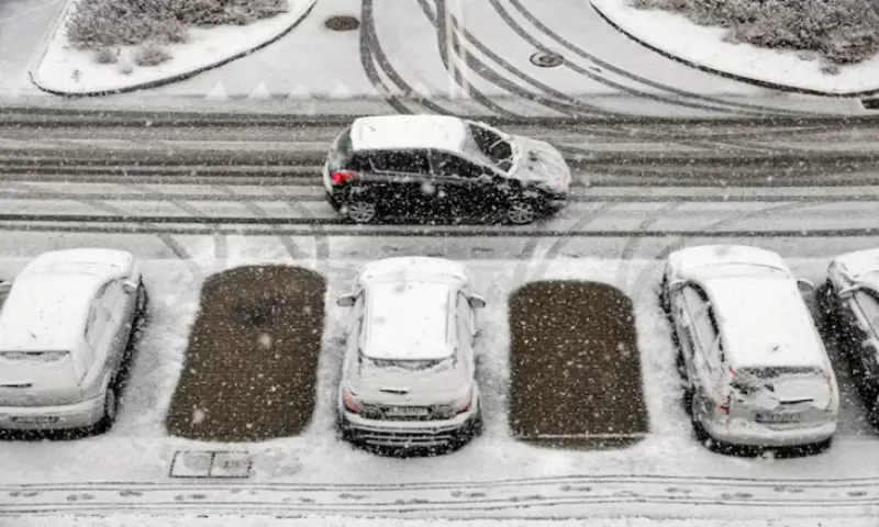 European car sales fall in January, petrol cars sharply decline