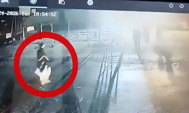 بھکر میں چیک پوسٹ پر خودکش حملہ، پنجاب پولیس کے دو اہلکار شہید