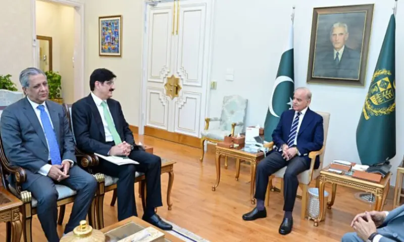 PM Shehbaz assures full support for Sindh projects