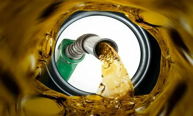 Government forms 18-member committee to monitor petroleum products