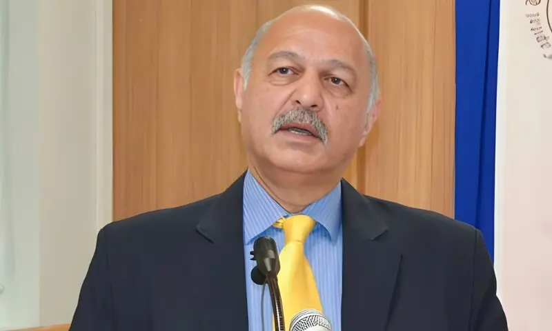 چینی کرنسی میں ادائیگی کی شرط پر پاکستانی کنٹینر کو آبنائے ہرمز سے گزرنے دیا گیا: مشاہد حسین