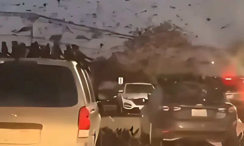 کیا تل ابیب میں کوؤں کا غول کسی تباہی کی علامت ہے؟