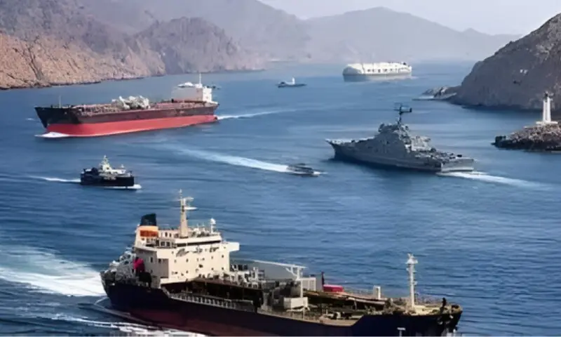ایران نے دو پاکستانی بحری جہازوں کو آبنائے ہرمز سے گزرنے کی اجازت دیدی