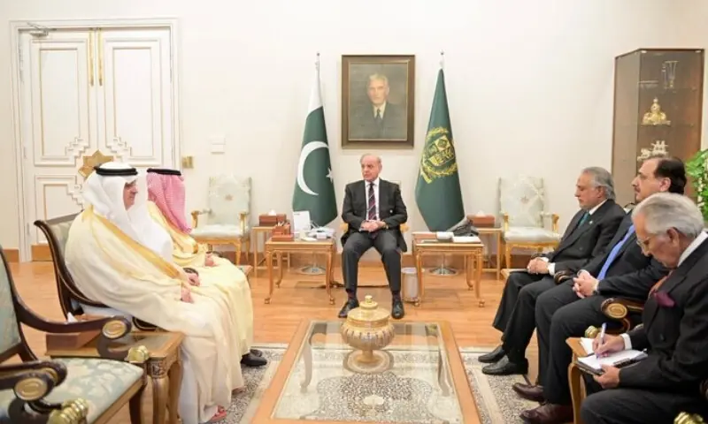 وزیراعظم شہباز شریف کی سعودی وزیر خارجہ سے ملاقات، مکمل یکجہتی اور تعاون کا اعادہ