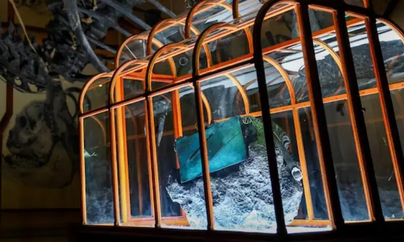 ڈائنوسار کے مادّے سے تیار کردہ ہینڈ بیگ نے دنیا کو چونکا دیا