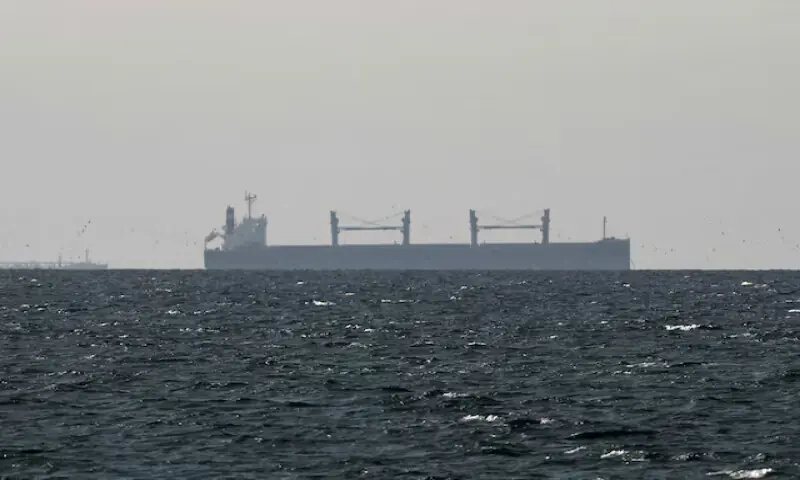 Iranian forces fire on container ship in Strait of Hormuz