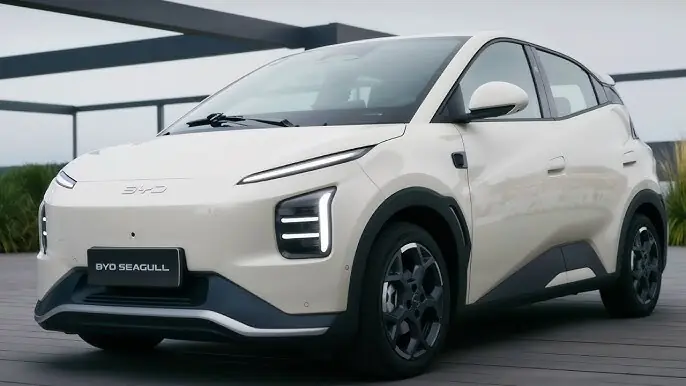  بی وائی ڈی سیگل 