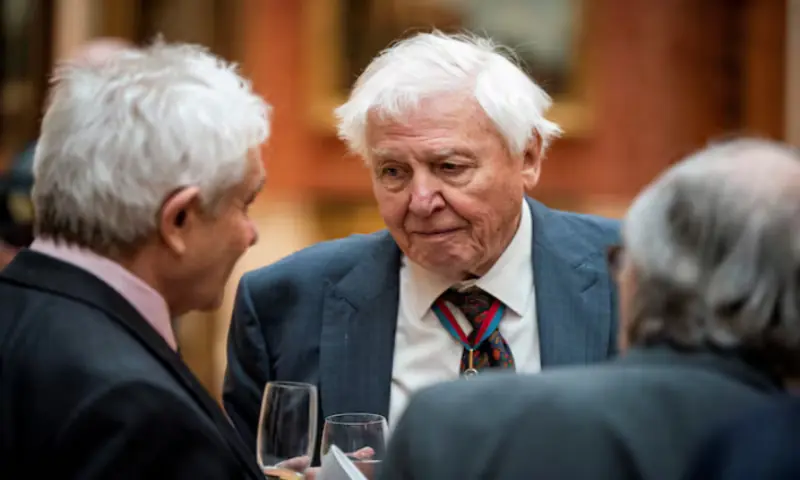 David Attenborough, 'the voice for nature,' turns 100
