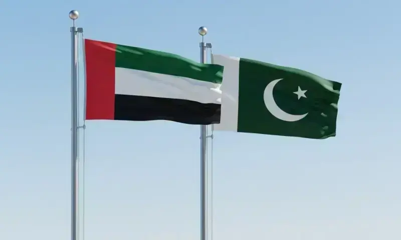 Ministry of interior rejects reports of targeted expulsions of Pakistanis from UAE