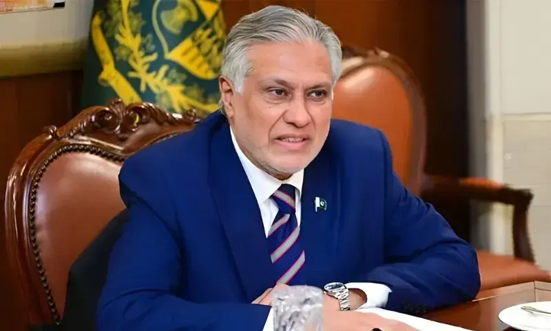 امریکی تحویل سے 11 پاکستانی اور 20 ایرانیوں کی رہائی میں کامیابی حاصل کرلی: اسحاق ڈار
