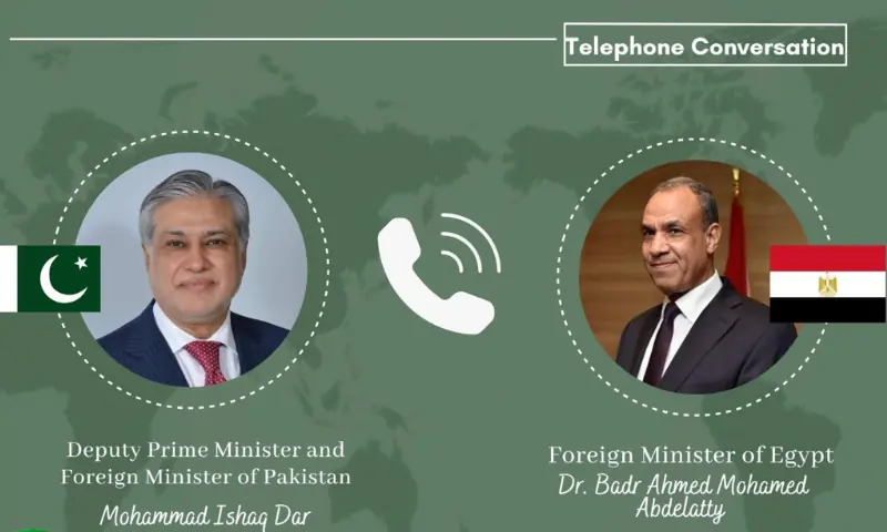 DPM, Egyptian FM exchange views on regional situation