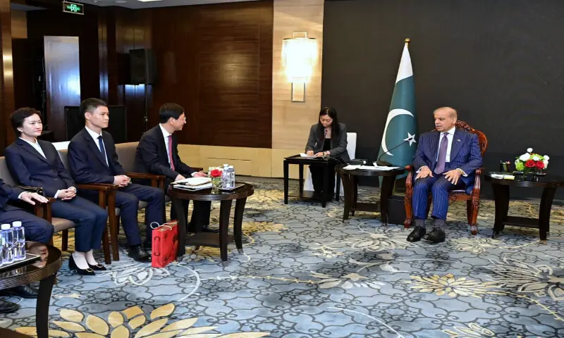 PM Shehbaz invites fresh Chinese investment under CPEC Phase II