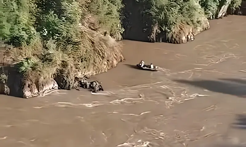 مظفرآباد میں انوکھا واقعہ: ڈرائیور نے مسافر کوسٹر دریائے جہلم میں پھینک دی