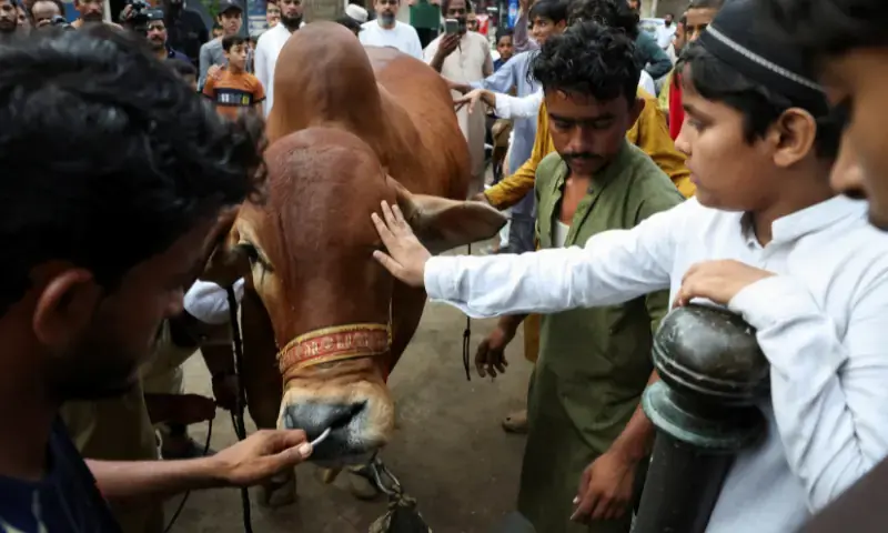 Eid celebrations continue nationwide as sacrificial rituals and gatherings persist