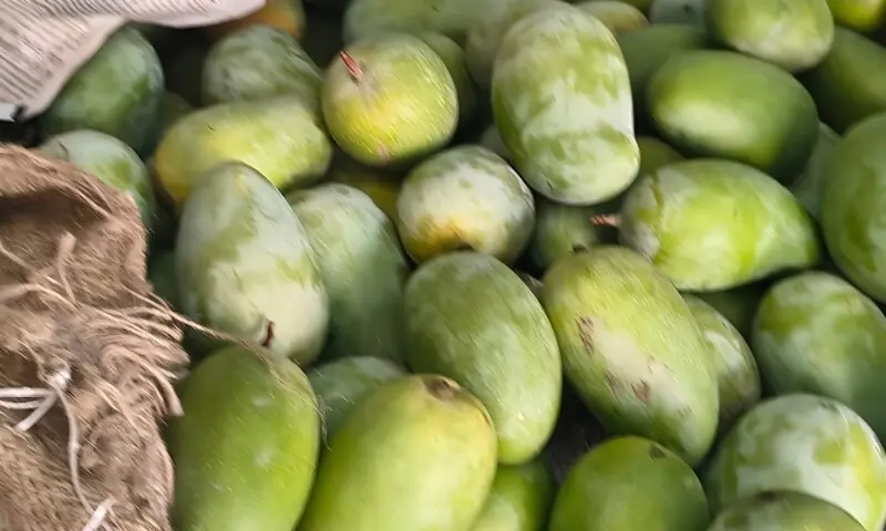 کیمیکلز کے بغیر گھر پر کچے آم کو پکانے کے آسان اور قدرتی طریقے