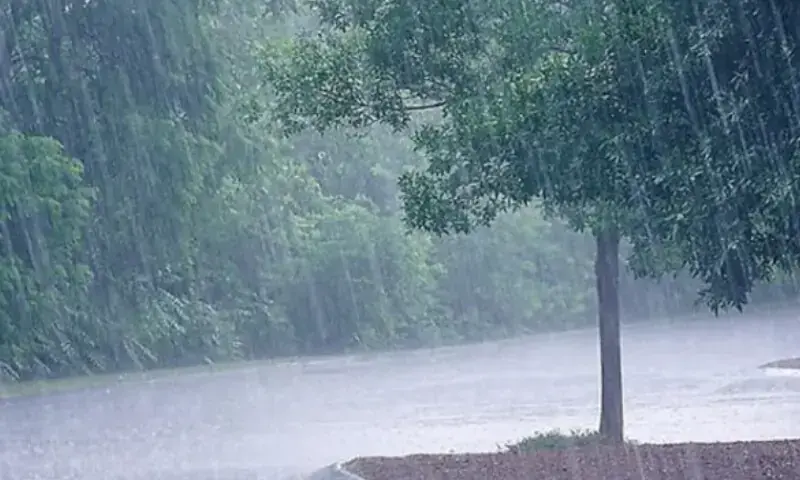 Heavy rains lash KP, twin cities as heatwave breaks