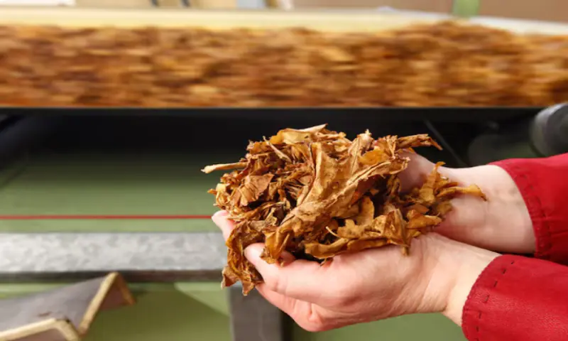 British American Tobacco to cut 5,500 jobs globally in restructuring push