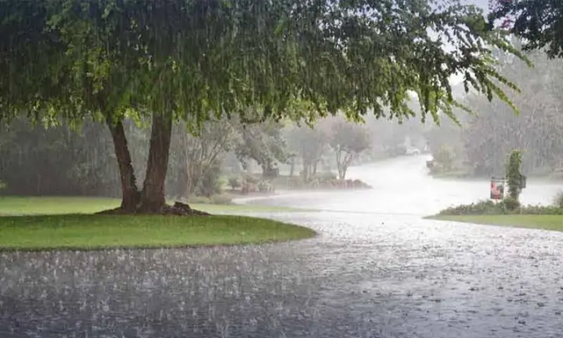 Punjab on alert as first monsoon spell to sweep Pakistan from July 1