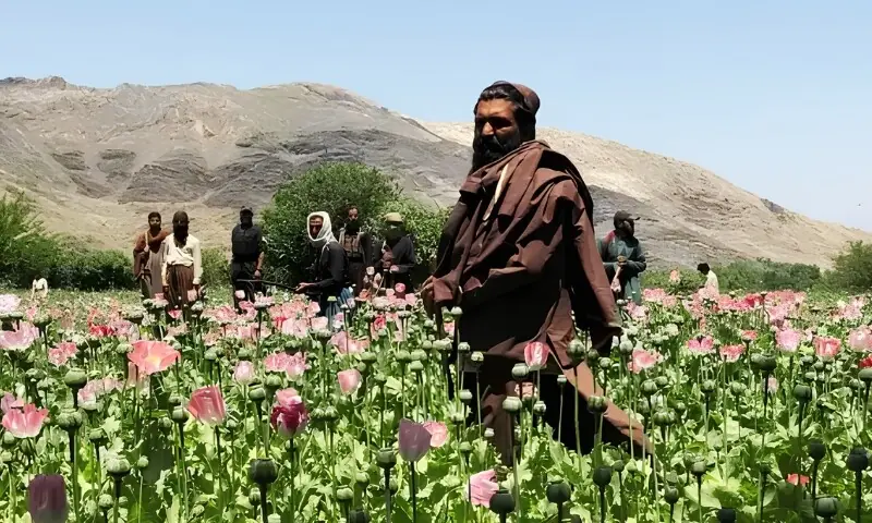 نارکو دہشت گردی کے مہلک پنجے