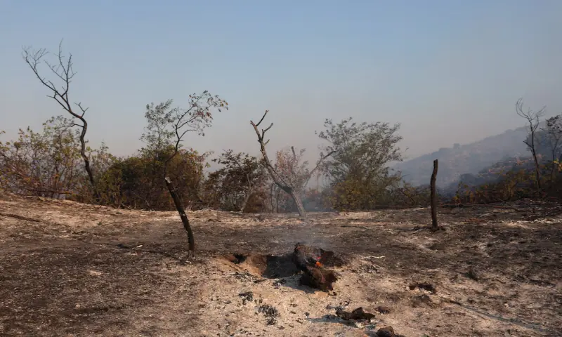 Thousands evacuated from homes in southwest France as wildfire burns