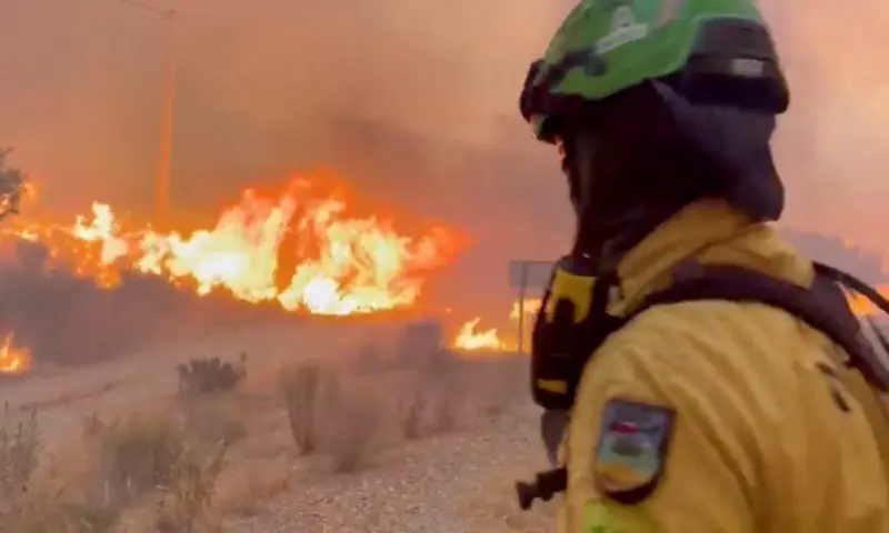Wildfires in southern Spain kill 12, emergency agency says