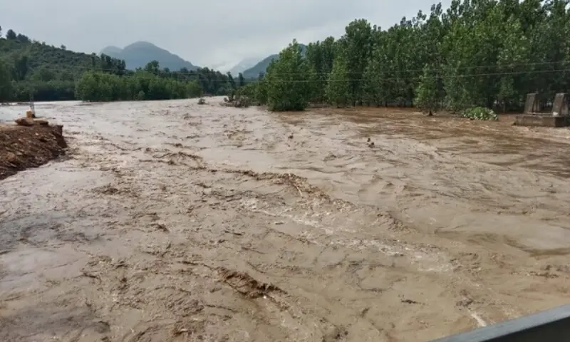 پنجاب کے دریاؤں اور ندی نالوں میں سیلاب کا خدشہ، پی ڈی ایم اے کا الرٹ جاری
