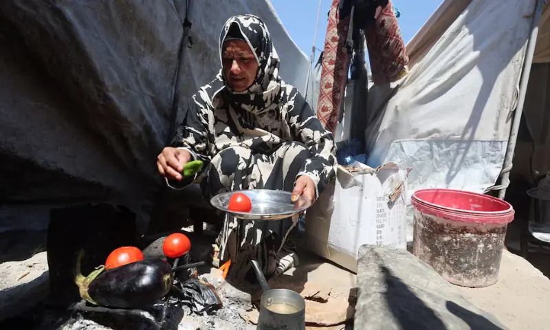 Two-thirds of Gaza may face acute hunger by year-end, global food monitor says
