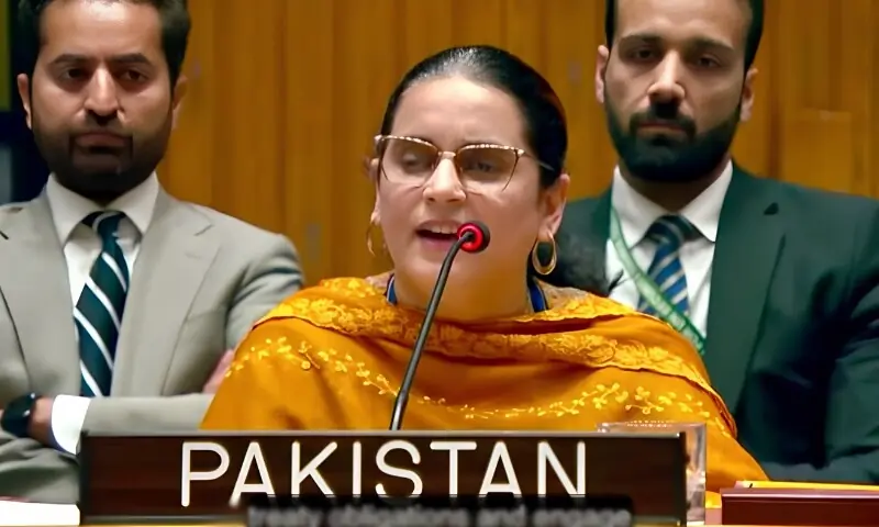 جموں و کشمیر نہ تو بھارت کا اٹوٹ انگ ہے اور نہ ہی اس کا داخلی معاملہ: پاکستان