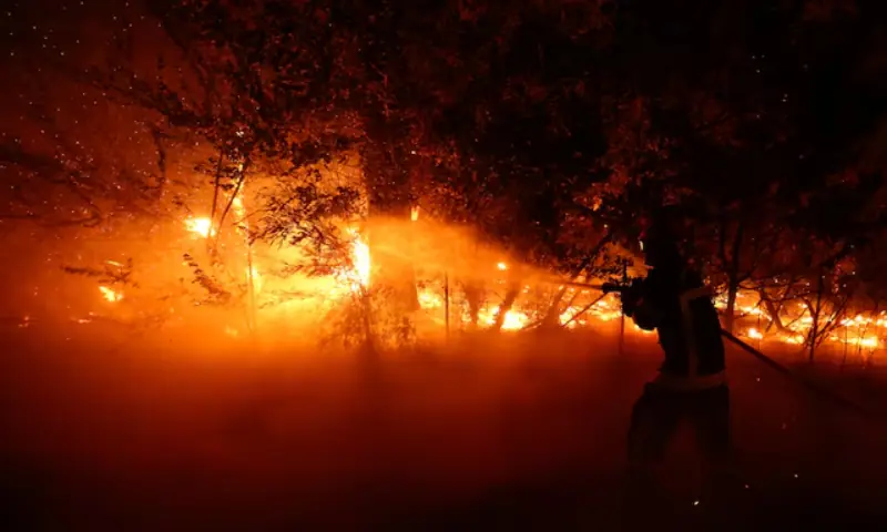 France requests help from EU to deal with fires, says Macron