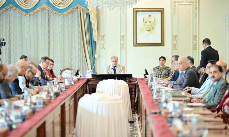 PM directs steps to attract global investors for DISCOs privatisation