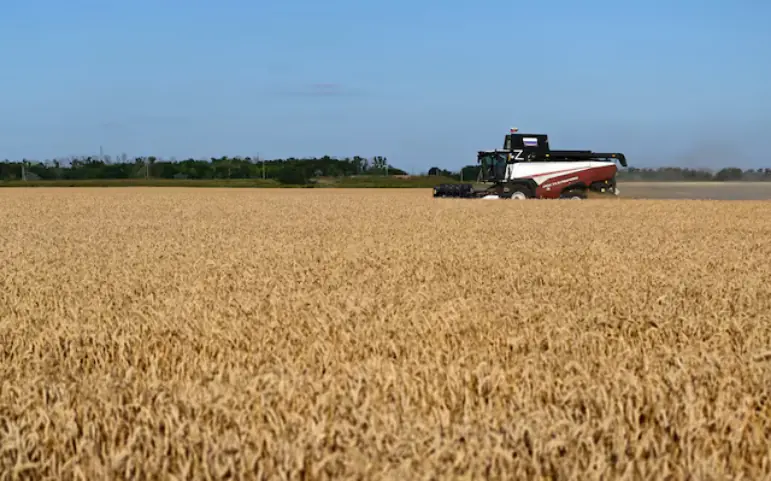 Decades of farm gains, inventories strengthen food system against 'super' El Nino