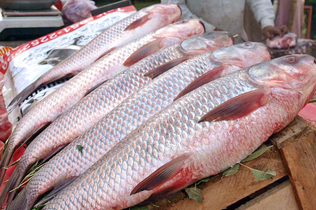 These 6 Food Items Have Brain-Boosting Effects