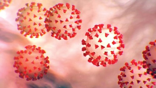 COVID-19: rumors, murmurs, misinformation and consequences