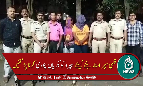 فلمی سپر اسٹار بننے کیلئے بکریاں چوری کرنا پڑ گئیں