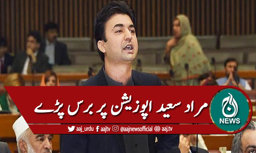 سینیٹ : مراد سعید کی اپوزیشن پر تنقید