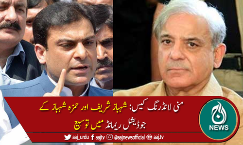 شہباز شریف اور حمزہ شہباز کے جوڈیشل ریمانڈ میں 12 جنوری تک توسیع