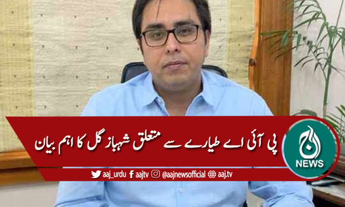 پی آئی اے طیارہ معاملہ، ملائیشیا کا معاملے سے کوئی تعلق نہیں،شہباز گل