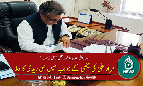 مراد علی شاہ کے خط کے جواب میں علی زیدی کا خط