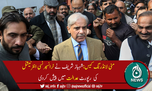 شہباز شریف نے ٹرانسپرنسی انٹرنیشنل کی رپورٹ عدالت میں پیش کردی