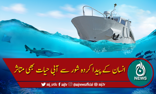 انسان کے پیدا کردہ شور سے آبی حیات بھی محفوظ نہیں رہیں