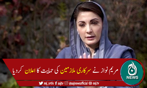 مریم نواز کی اسلام آباد میں سرکاری ملازمین پر تشدد کی مذمت