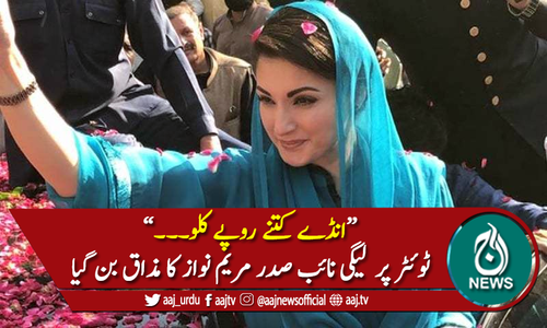 "انڈے کتنے روپے کلو" سوشل میڈیا پر مریم نواز کا مذاق بن گیا